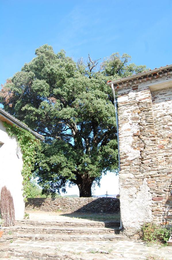 La vallée de Gaïa Bed and Breakfast Saint-Hilaire-de-Lavit Esterno foto